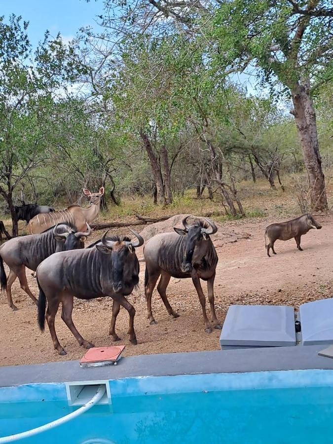 Nanisto Bush Lodge Марлот Парк Екстериор снимка